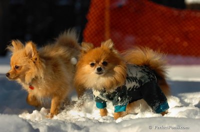 Feb7_08_417.JPG