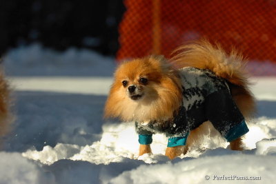 Feb7_08_418.jpg