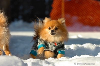 Feb7_08_424.jpg