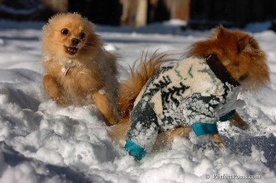 Feb7_08_160.JPG