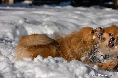 Feb7_08_161.jpg