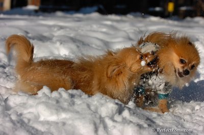 Feb7_08_162.JPG