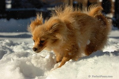 Feb7_08_164.JPG