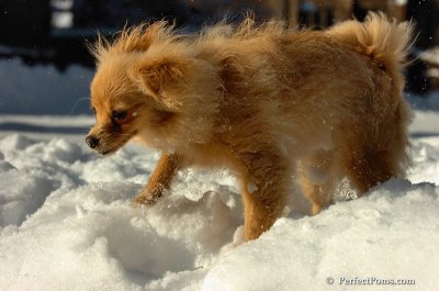 Feb7_08_165.JPG
