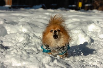 Feb7_08_167.JPG