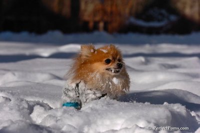 Feb7_08_168.jpg