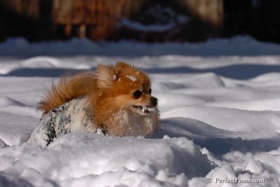 Feb7_08_170.jpg