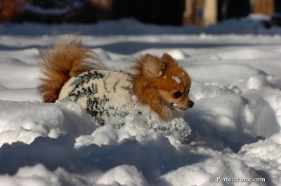 Feb7_08_172.JPG