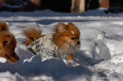 Feb7_08_173.JPG