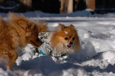 Feb7_08_174.JPG