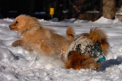 Feb7_08_177.jpg
