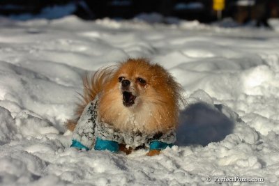 Feb7_08_178.jpg