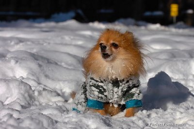 Feb7_08_179.jpg