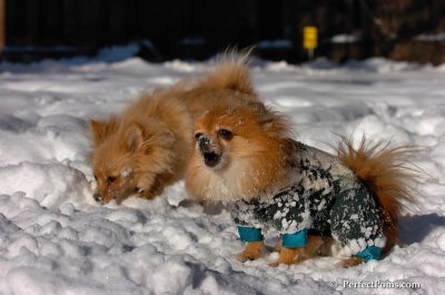 Feb7_08_180.JPG