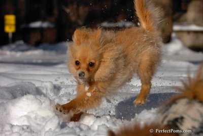 Feb7_08_183.jpg