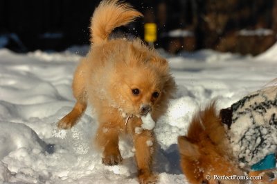 Feb7_08_185.JPG