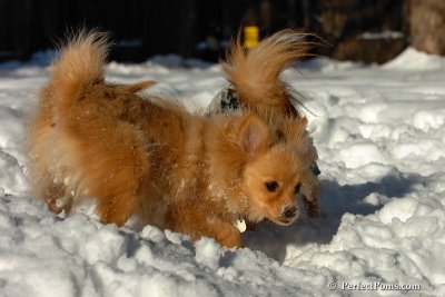 Feb7_08_186.jpg