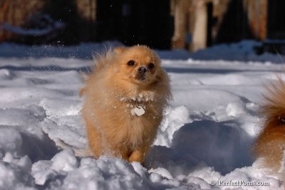 Feb7_08_192.jpg