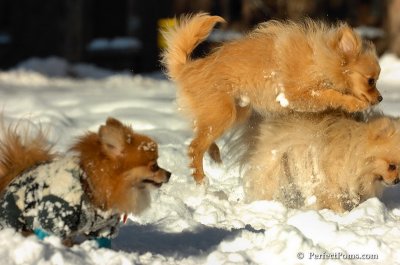 Feb7_08_201.JPG