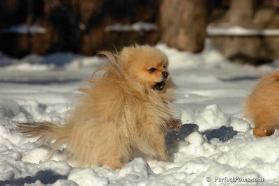 Feb7_08_202.jpg