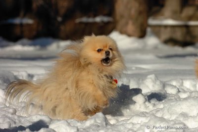 Feb7_08_203.jpg