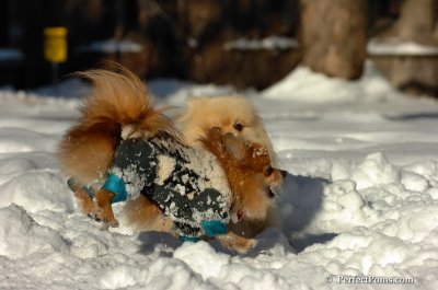 Feb7_08_204.JPG