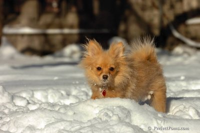 Feb7_08_205.jpg