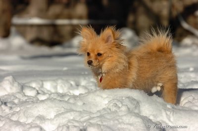 Feb7_08_206.JPG