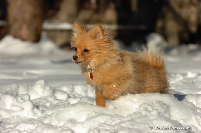Feb7_08_208.JPG