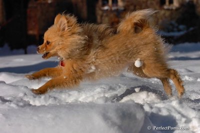 Feb7_08_210.jpg