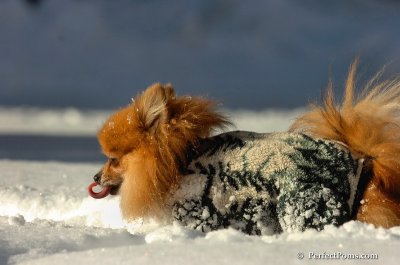 Feb7_08_214.JPG