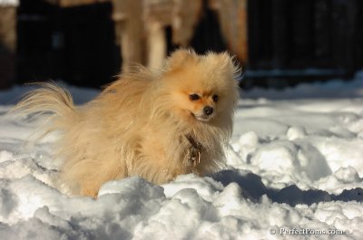 Feb7_08_215.JPG