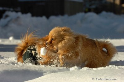 Feb7_08_218.JPG