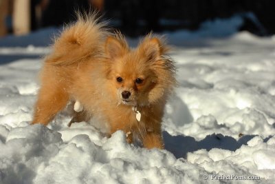 Feb7_08_220.jpg
