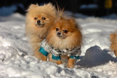 Feb7_08_221.jpg