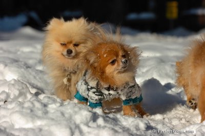 Feb7_08_222.JPG