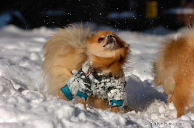 Feb7_08_225.JPG