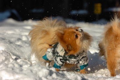 Feb7_08_226.JPG