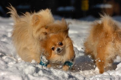 Feb7_08_229.JPG