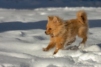 Feb7_08_235.jpg