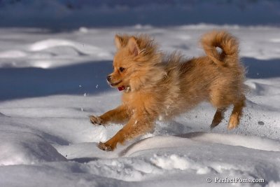 Feb7_08_236.jpg