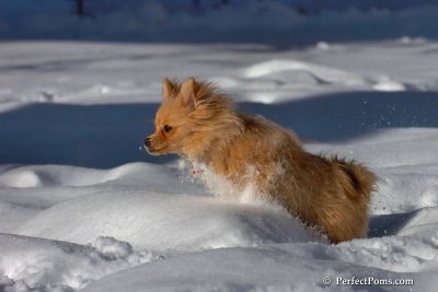 Feb7_08_237.jpg