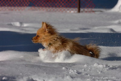 Feb7_08_239.jpg