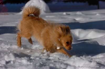 Feb7_08_242.JPG