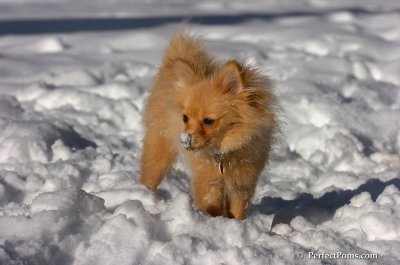 Feb7_08_244.JPG