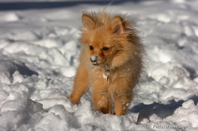 Feb7_08_245.JPG