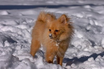 Feb7_08_246.jpg