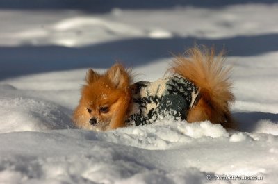 Feb7_08_247.JPG