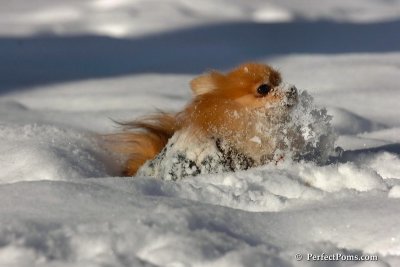 Feb7_08_248.jpg