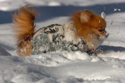 Feb7_08_250.jpg